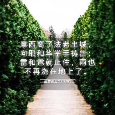 Picture 05 - 出 埃 及 记 9:33 CUVS - 摩 西 离 了 法 老 出 城 ， 向 耶 和 - Bible Verse Picture