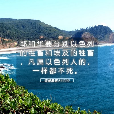 Picture 05 - 出 埃 及 记 9:4 CUVS - 耶 和 华 要 分 别 以 色 列 的 牲 畜 - Bible Verse Picture