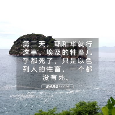 Picture 05 - 出 埃 及 记 9:6 CUVS - 第 二 天 ， 耶 和 华 就 行 这 事 。 - Bible Verse Picture
