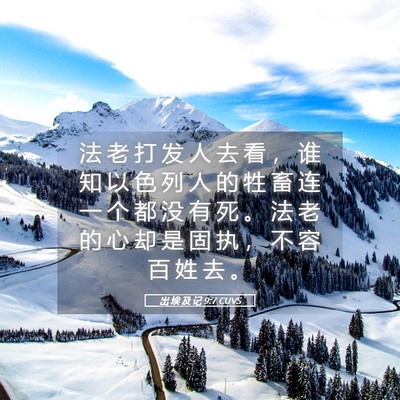 Picture 05 - 出 埃 及 记 9:7 CUVS - 法 老 打 发 人 去 看 ， 谁 知 以 色 - Bible Verse Picture