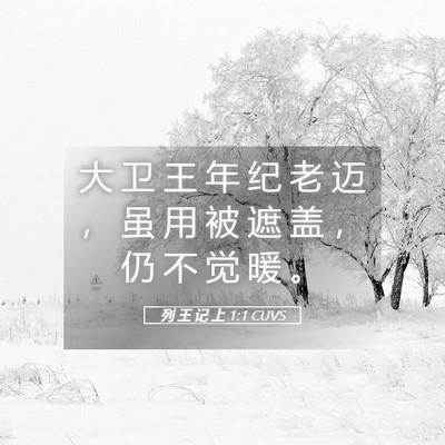 Picture 05 - 列 王 记 上 1:1 CUVS - 大 卫 王 年 纪 老 迈 ， 虽 用 被 遮 - Bible Verse Picture