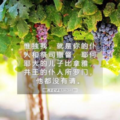 Picture 05 - 列 王 记 上 1:26 CUVS - 惟 独 我 ， 就 是 你 的 仆 人 和 祭 - Bible Verse Picture
