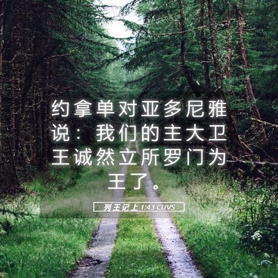 Picture 05 - 列 王 记 上 1:43 CUVS - 约 拿 单 对 亚 多 尼 雅 说 ： 我 们 - Bible Verse Picture