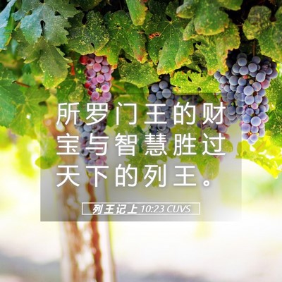 Picture 05 - 列 王 记 上 10:23 CUVS - 所 罗 门 王 的 财 宝 与 智 慧 胜 过 - Bible Verse Picture