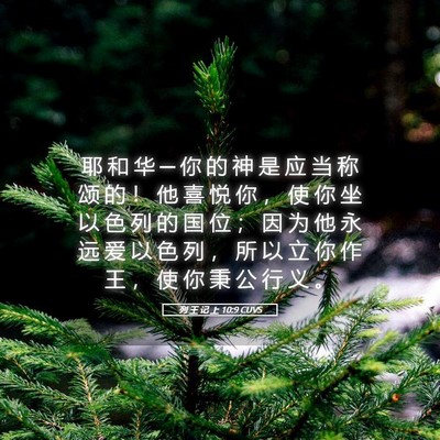 Picture 05 - 列 王 记 上 10:9 CUVS - 耶 和 华 ─ 你 的 神 是 应 当 称 颂 - Bible Verse Picture