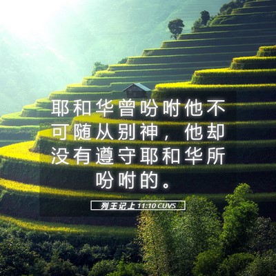 Picture 05 - 列 王 记 上 11:10 CUVS - 耶 和 华 曾 吩 咐 他 不 可 随 从 别 - Bible Verse Picture