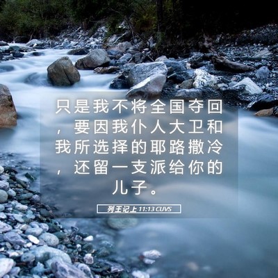 Picture 05 - 列 王 记 上 11:13 CUVS - 只 是 我 不 将 全 国 夺 回 ， 要 因 - Bible Verse Picture