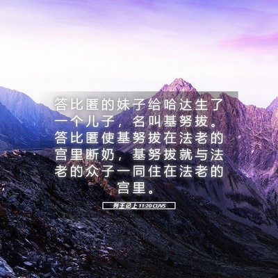 Picture 05 - 列 王 记 上 11:20 CUVS - 答 比 匿 的 妹 子 给 哈 达 生 了 一 - Bible Verse Picture