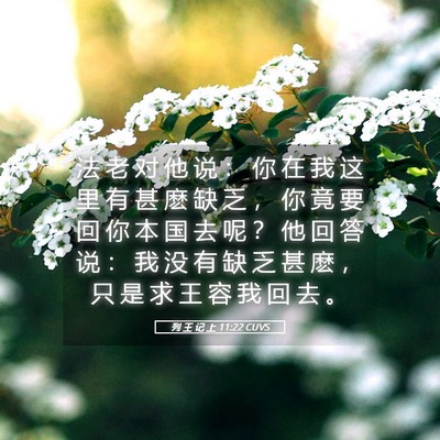 Picture 05 - 列 王 记 上 11:22 CUVS - 法 老 对 他 说 ： 你 在 我 这 里 有 - Bible Verse Picture