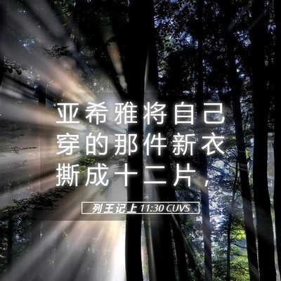 Picture 05 - 列 王 记 上 11:30 CUVS - 亚 希 雅 将 自 己 穿 的 那 件 新 衣 - Bible Verse Picture