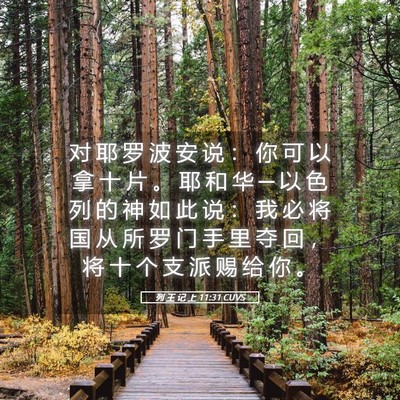 Picture 05 - 列 王 记 上 11:31 CUVS - 对 耶 罗 波 安 说 ： 你 可 以 拿 十 - Bible Verse Picture