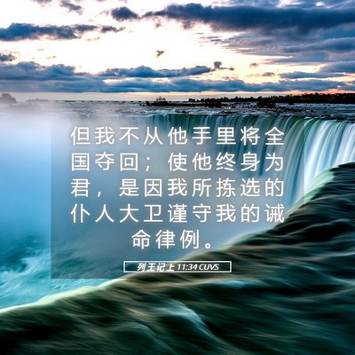 Picture 05 - 列 王 记 上 11:34 CUVS - 但 我 不 从 他 手 里 将 全 国 夺 回 - Bible Verse Picture