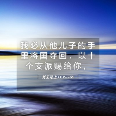 Picture 05 - 列 王 记 上 11:35 CUVS - 我 必 从 他 儿 子 的 手 里 将 国 夺 - Bible Verse Picture