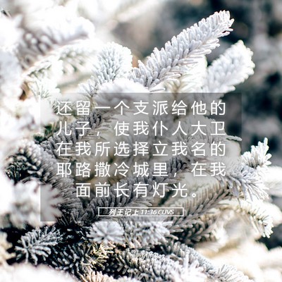 Picture 05 - 列 王 记 上 11:36 CUVS - 还 留 一 个 支 派 给 他 的 儿 子 ， - Bible Verse Picture