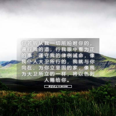 Picture 05 - 列 王 记 上 11:38 CUVS - 你 若 听 从 我 一 切 所 吩 咐 你 的 - Bible Verse Picture