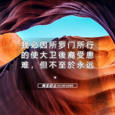 Picture 05 - 列 王 记 上 11:39 CUVS - 我 必 因 所 罗 门 所 行 的 使 大 卫 - Bible Verse Picture