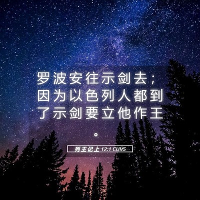 Picture 05 - 列 王 记 上 12:1 CUVS - 罗 波 安 往 示 剑 去 ； 因 为 以 色 - Bible Verse Picture