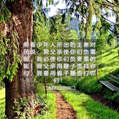 Picture 05 - 列 王 记 上 12:14 CUVS - 照 着 少 年 人 所 出 的 主 意 对 民 - Bible Verse Picture