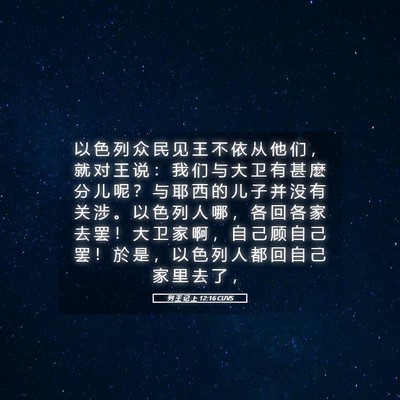 Picture 05 - 列 王 记 上 12:16 CUVS - 以 色 列 众 民 见 王 不 依 从 他 们 - Bible Verse Picture