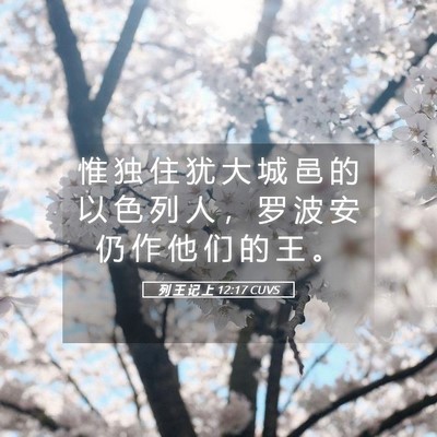 Picture 05 - 列 王 记 上 12:17 CUVS - 惟 独 住 犹 大 城 邑 的 以 色 列 人 - Bible Verse Picture