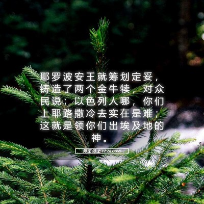Picture 05 - 列 王 记 上 12:28 CUVS - 耶 罗 波 安 王 就 筹 划 定 妥 ， 铸 - Bible Verse Picture