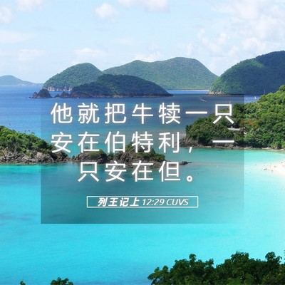 Picture 05 - 列 王 记 上 12:29 CUVS - 他 就 把 牛 犊 一 只 安 在 伯 特 利 - Bible Verse Picture