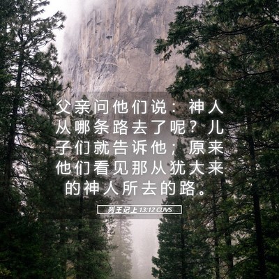 Picture 05 - 列 王 记 上 13:12 CUVS - 父 亲 问 他 们 说 ： 神 人 从 哪 条 - Bible Verse Picture