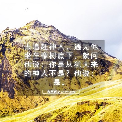 Picture 05 - 列 王 记 上 13:14 CUVS - 去 追 赶 神 人 ， 遇 见 他 坐 在 橡 - Bible Verse Picture