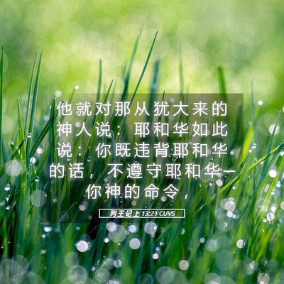 Picture 05 - 列 王 记 上 13:21 CUVS - 他 就 对 那 从 犹 大 来 的 神 人 说 - Bible Verse Picture