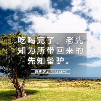Picture 05 - 列 王 记 上 13:23 CUVS - 吃 喝 完 了 ， 老 先 知 为 所 带 回 - Bible Verse Picture