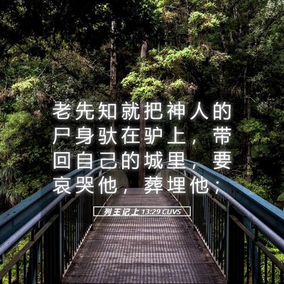 Picture 05 - 列 王 记 上 13:29 CUVS - 老 先 知 就 把 神 人 的 尸 身 驮 在 - Bible Verse Picture