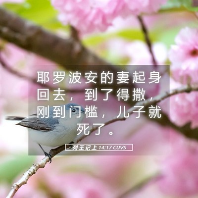Picture 05 - 列 王 记 上 14:17 CUVS - 耶 罗 波 安 的 妻 起 身 回 去 ， 到 - Bible Verse Picture
