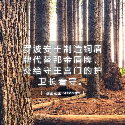 Picture 05 - 列 王 记 上 14:27 CUVS - 罗 波 安 王 制 造 铜 盾 牌 代 替 那 - Bible Verse Picture