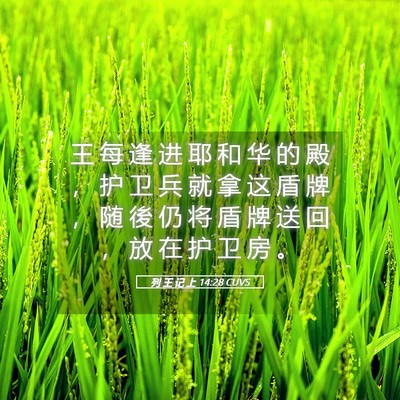 Picture 05 - 列 王 记 上 14:28 CUVS - 王 每 逢 进 耶 和 华 的 殿 ， 护 卫 - Bible Verse Picture