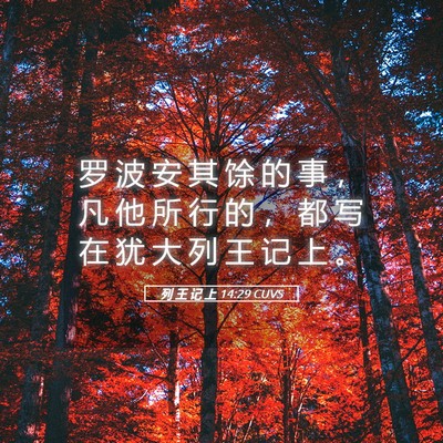 Picture 05 - 列 王 记 上 14:29 CUVS - 罗 波 安 其 馀 的 事 ， 凡 他 所 行 - Bible Verse Picture