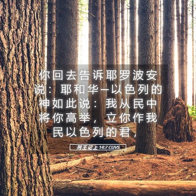Picture 05 - 列 王 记 上 14:7 CUVS - 你 回 去 告 诉 耶 罗 波 安 说 ： 耶 - Bible Verse Picture