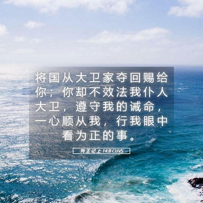 Picture 05 - 列 王 记 上 14:8 CUVS - 将 国 从 大 卫 家 夺 回 赐 给 你 ； - Bible Verse Picture