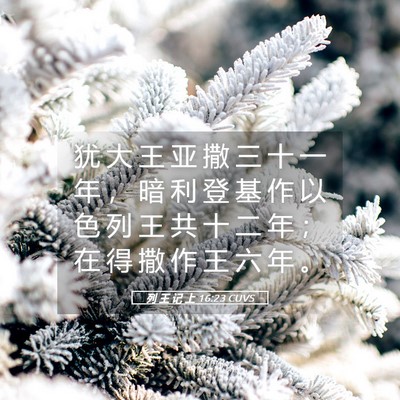 Picture 05 - 列 王 记 上 16:23 CUVS - 犹 大 王 亚 撒 三 十 一 年 ， 暗 利 - Bible Verse Picture