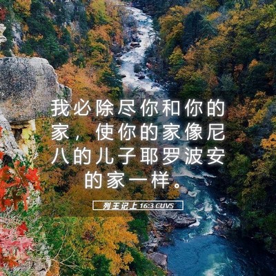 Picture 05 - 列 王 记 上 16:3 CUVS - 我 必 除 尽 你 和 你 的 家 ， 使 你 - Bible Verse Picture