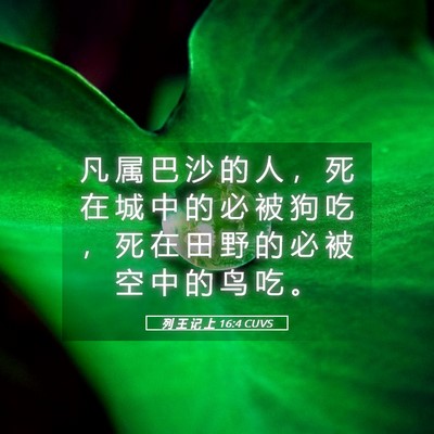 Picture 05 - 列 王 记 上 16:4 CUVS - 凡 属 巴 沙 的 人 ， 死 在 城 中 的 - Bible Verse Picture