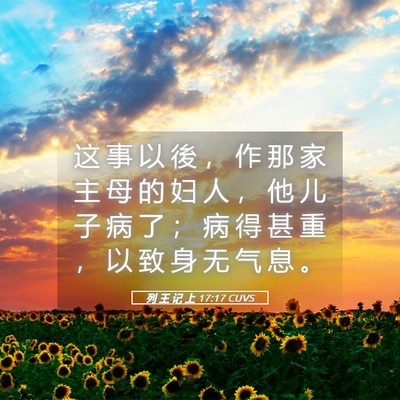 Picture 05 - 列 王 记 上 17:17 CUVS - 这 事 以 後 ， 作 那 家 主 母 的 妇 - Bible Verse Picture