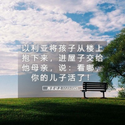 Picture 05 - 列 王 记 上 17:23 CUVS - 以 利 亚 将 孩 子 从 楼 上 抱 下 来 - Bible Verse Picture
