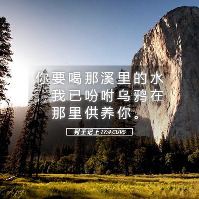 Picture 05 - 列 王 记 上 17:4 CUVS - 你 要 喝 那 溪 里 的 水 ， 我 已 吩 - Bible Verse Picture