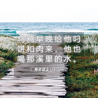 Picture 05 - 列 王 记 上 17:6 CUVS - 乌 鸦 早 晚 给 他 叼 饼 和 肉 来 ， - Bible Verse Picture