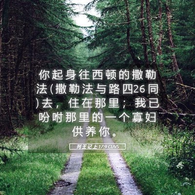 Picture 05 - 列 王 记 上 17:9 CUVS - 你 起 身 往 西 顿 的 撒 勒 法 ( 撒 勒 - Bible Verse Picture
