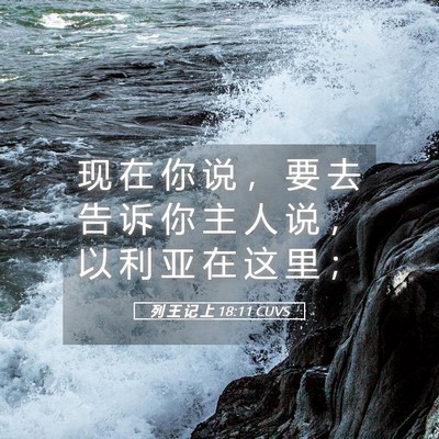 Picture 05 - 列 王 记 上 18:11 CUVS - 现 在 你 说 ， 要 去 告 诉 你 主 人 - Bible Verse Picture
