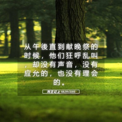 Picture 05 - 列 王 记 上 18:29 CUVS - 从 午 後 直 到 献 晚 祭 的 时 候 ， - Bible Verse Picture