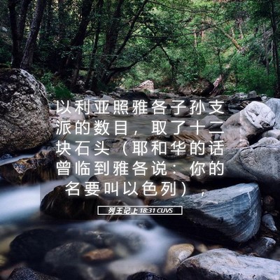 Picture 05 - 列 王 记 上 18:31 CUVS - 以 利 亚 照 雅 各 子 孙 支 派 的 数 - Bible Verse Picture