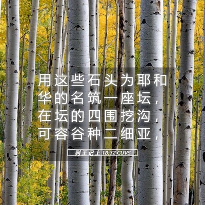 Picture 05 - 列 王 记 上 18:32 CUVS - 用 这 些 石 头 为 耶 和 华 的 名 筑 - Bible Verse Picture