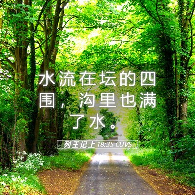 Picture 05 - 列 王 记 上 18:35 CUVS - 水 流 在 坛 的 四 围 ， 沟 里 也 满 - Bible Verse Picture